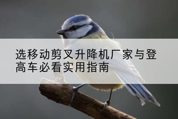 即墨电动升降机厂家-选移动剪叉升降机厂家与登高车必看实用指南