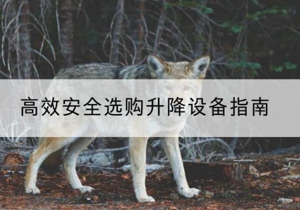 即墨升降货梯厂家推荐-*安全选购升降设备指南