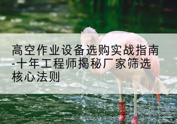 即墨剪叉式升降机厂家-高空作业设备选购实战指南-十年工程师揭秘厂家筛选核心法则